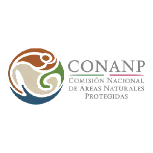 certificación logo