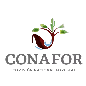 certificación logo