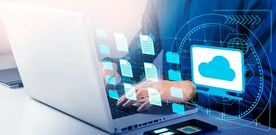 Techno Fuze servicio base de datos