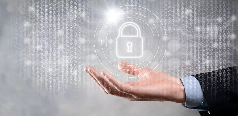 Techno Fuze imagen seguridad